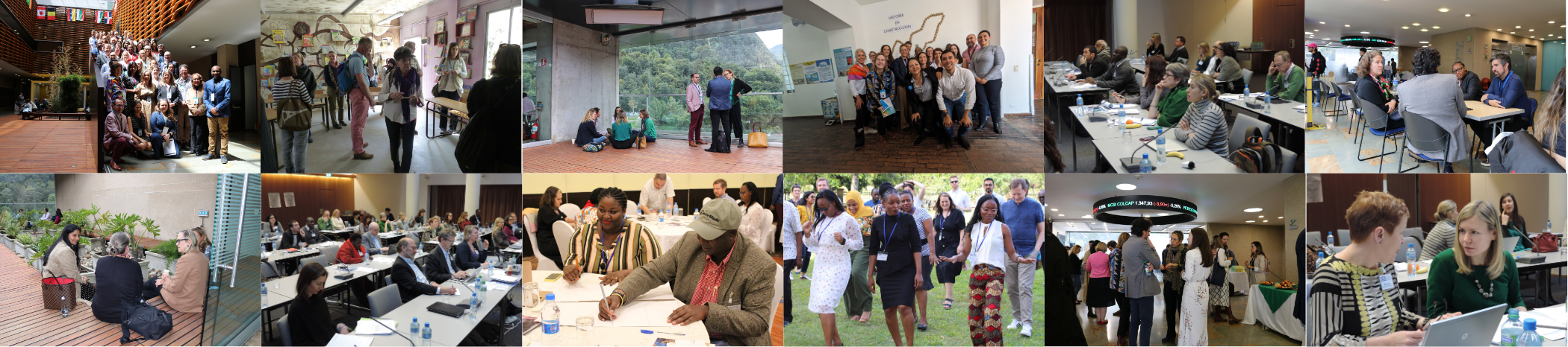 IEFG events Participants of IEFG events involved in different activities. All rights reserved.